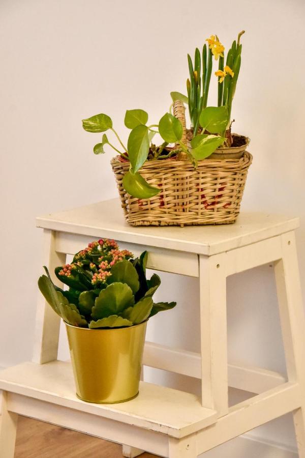 Your Home In Seville Luaran gambar